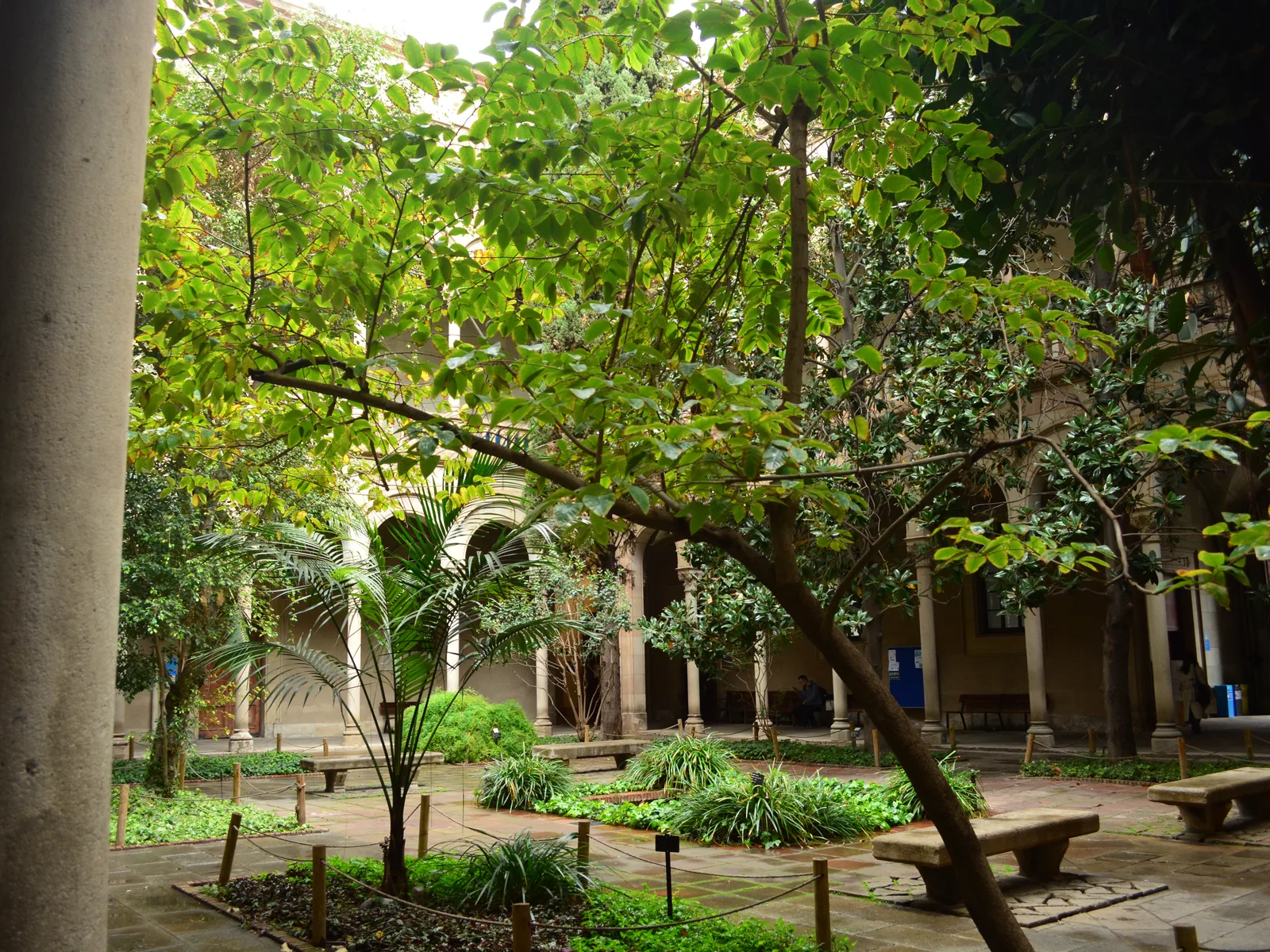 巴塞罗那大学历史建筑回廊