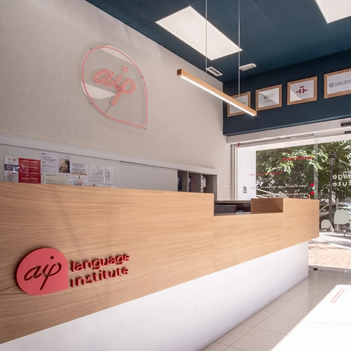 AIP interior space with a bright common area, sofas and decorative details