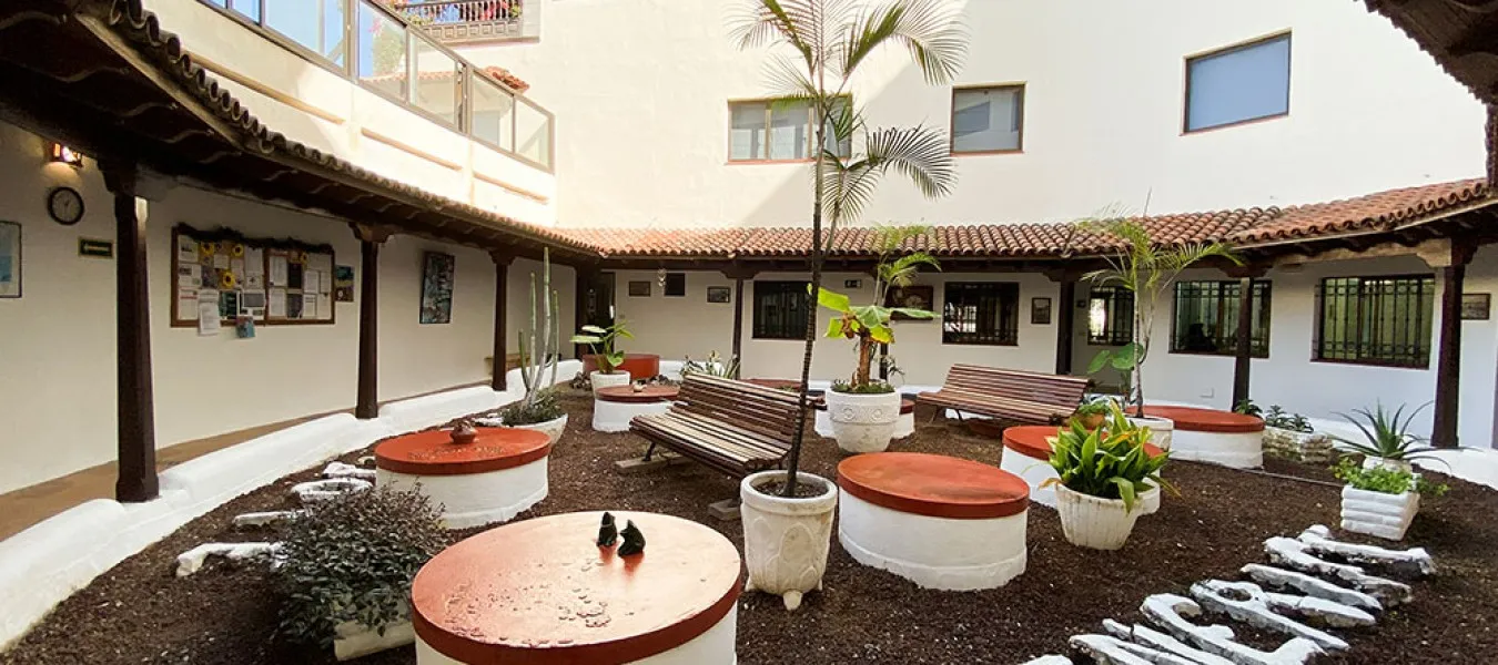 Representative image of don Quijote Tenerife